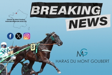 ON EN PARLE - 24H AU TROT