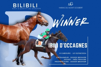 IBILI D'OCCAGNES