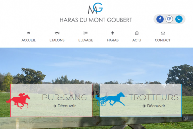 Le site Internet du Haras du Mont Goubert est en ligne !