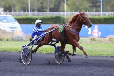 GALIUS DE RETOUR SUR LES HIPPODROMES