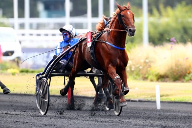 GALIUS VAINQUEUR DU CRITERIUM  DES 5 ANS (Gr.I) !